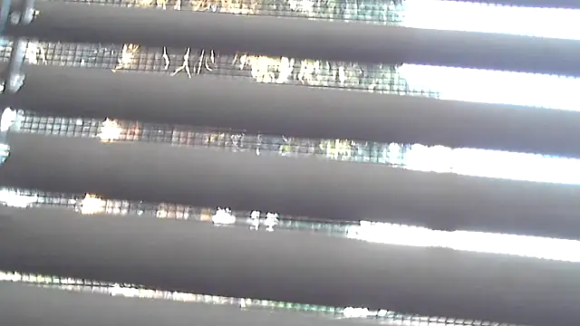 Perit - Trans webcam sex chat