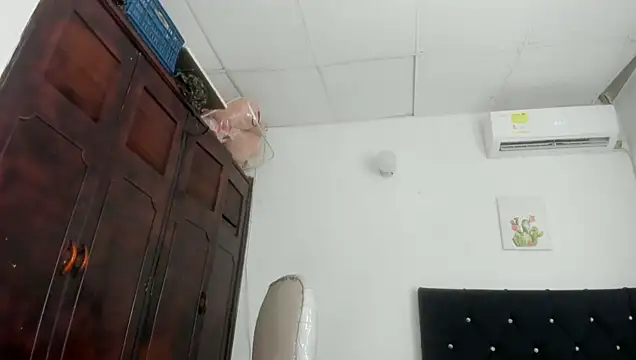 Modèle: barbie_ds