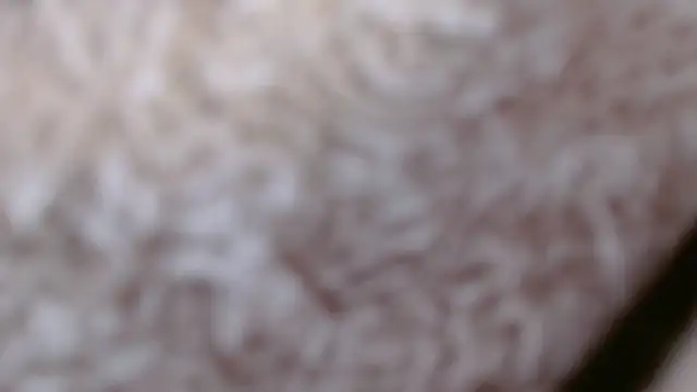 Manusomer webcam