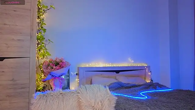 VYBEON webcam