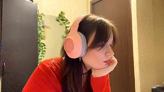 CrappyCatcher webcam