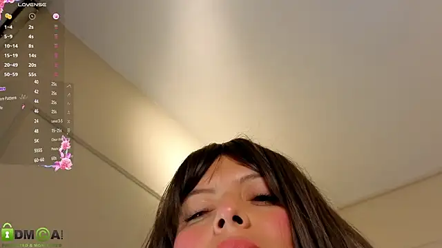 hd webcam ROSE 15