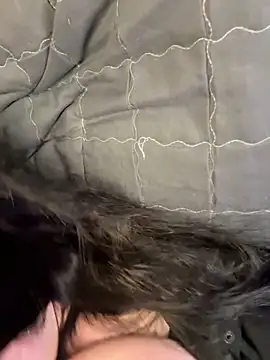 Evelinia