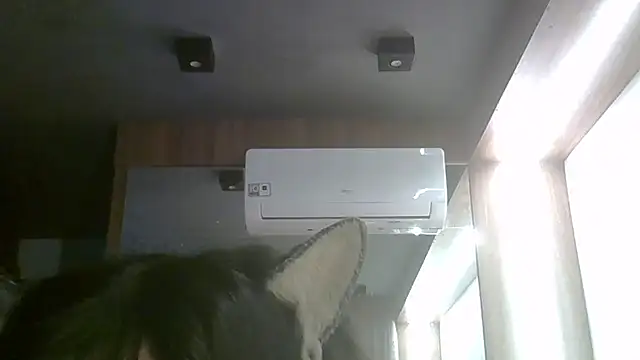 SkinnyKitten live sex cam