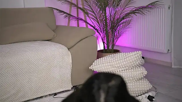 DeborahLowe webcam