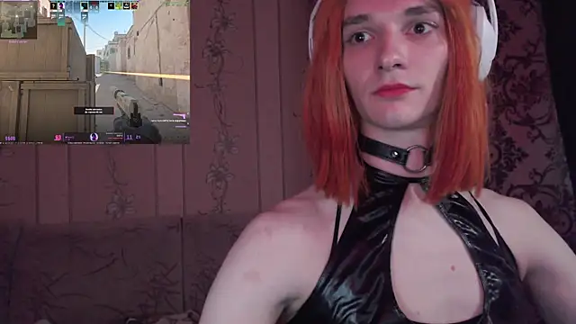 Модель: kisasuka
