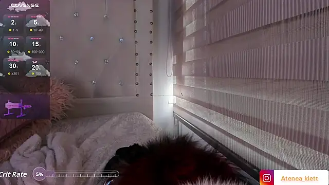 Atenea_Klett_ webcam