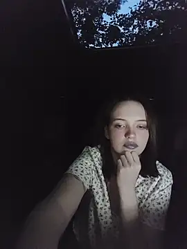 Lepimentsurpattes webcam