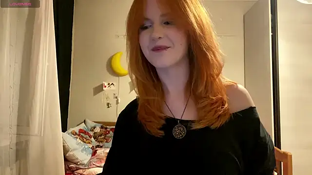 DynaLoom webcam