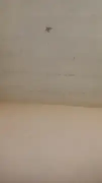 carloshot31 - Carloshot31's free webcam