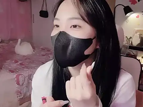 Pun8386 webcam