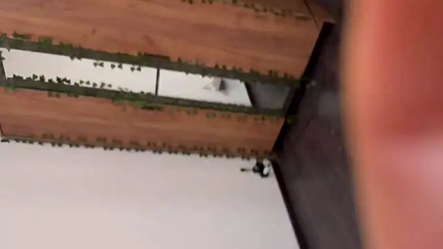catrinee