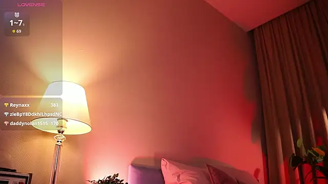 lexy_exe webcam