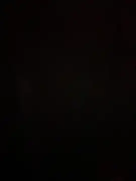  Blaackcat chat room