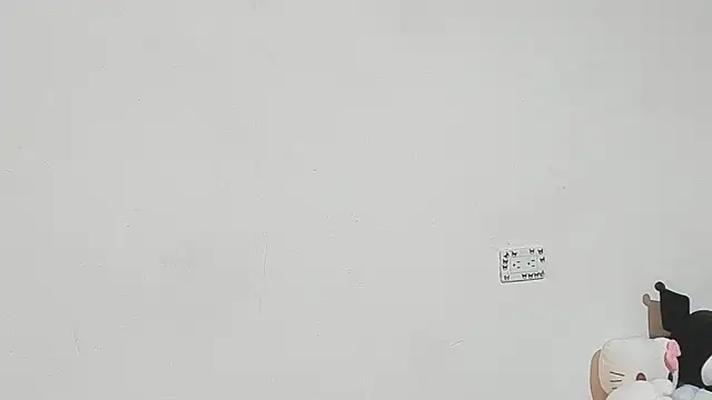 Eirlysx webcam