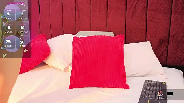 SALOME_F0X_ webcam