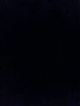 Alexis_Bull