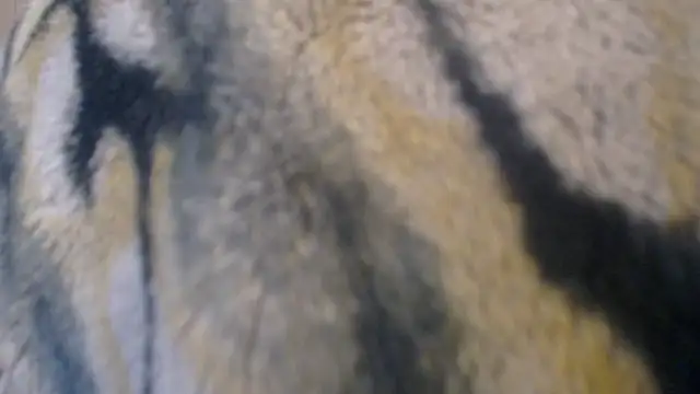 Divineblond