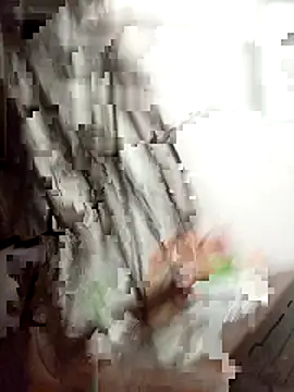 sudunona2 webcam