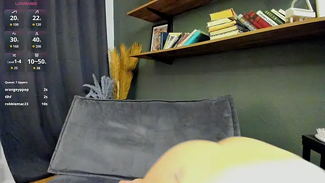 DelorisDetrich webcam