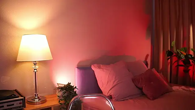 lexy_exe