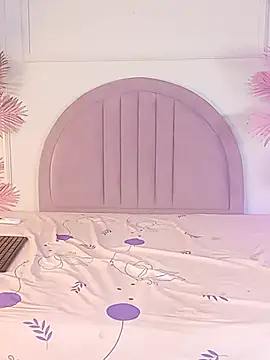 Nalapalmer webcam
