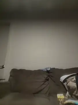 yourMasterisBored