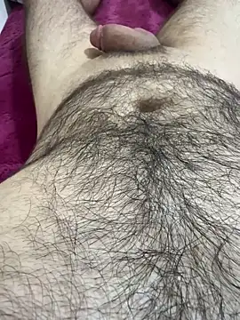 Hairy_arabic_master