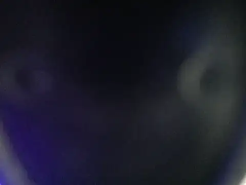 paula_ross_