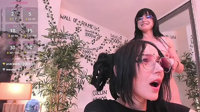 mira0_0 webcam