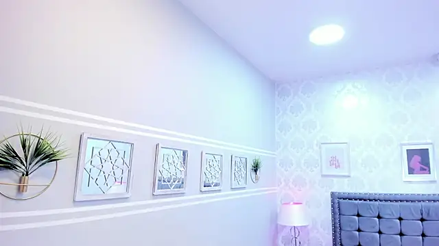 kitticam