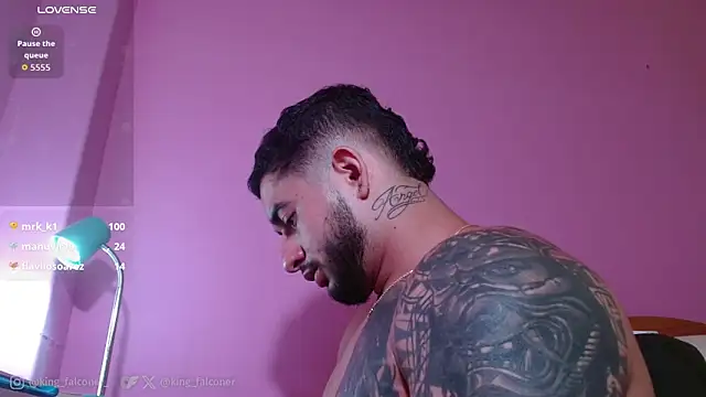 king_falconer
