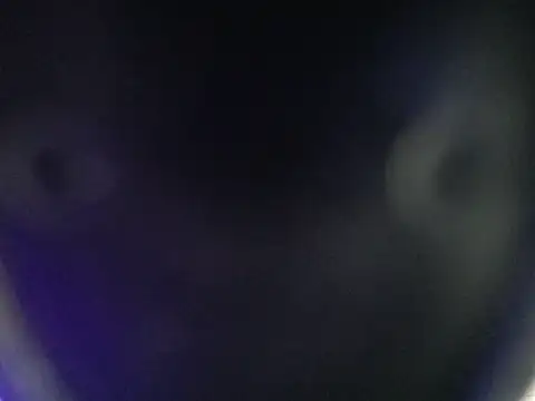 paula_ross_