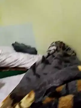 Alissonrafael