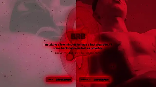 davesinner