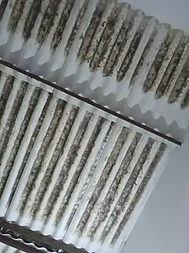 Preview of scarlegrace