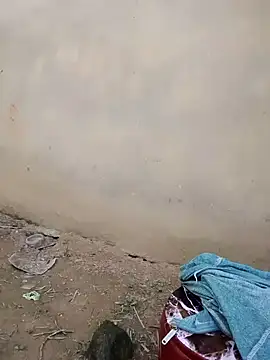 doggy-00
