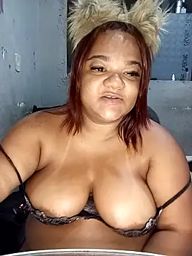 Meellcarioca