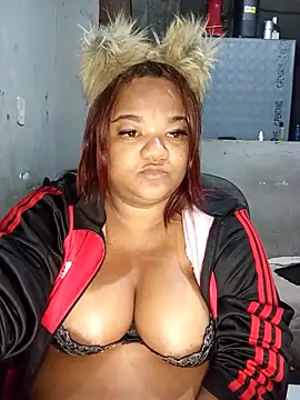 Meellcarioca