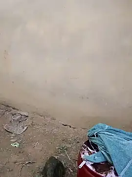 doggy-00