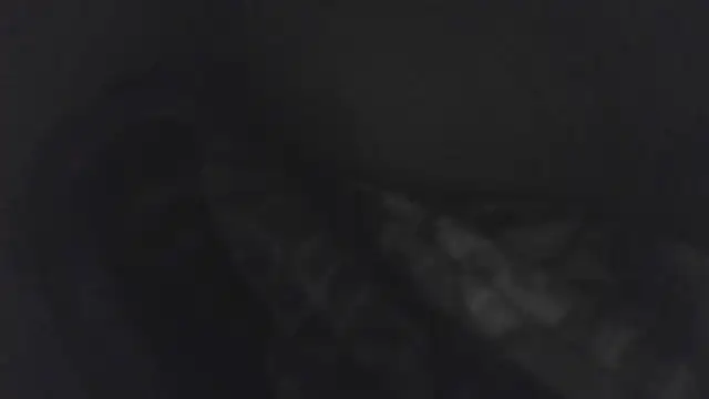 big_b_cock_1 - Big_B_Cock_1's free webcam