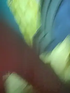 HONEYSWEETS_LIVE