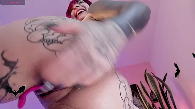 VelvetVampiree webcam