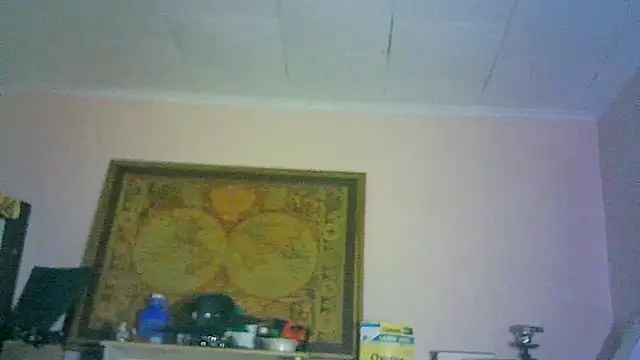 _P3RKY_IMMORTAL3_FIR3_ webcam