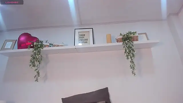Nicolle_Evanss_ webcam