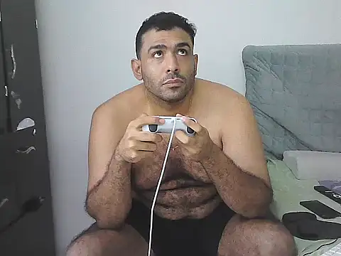 IronSideBear webcam