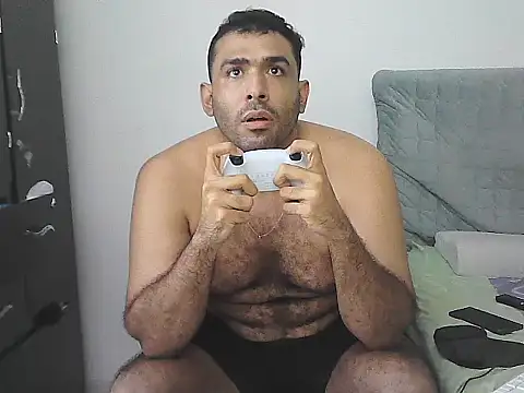 IronSideBear webcam