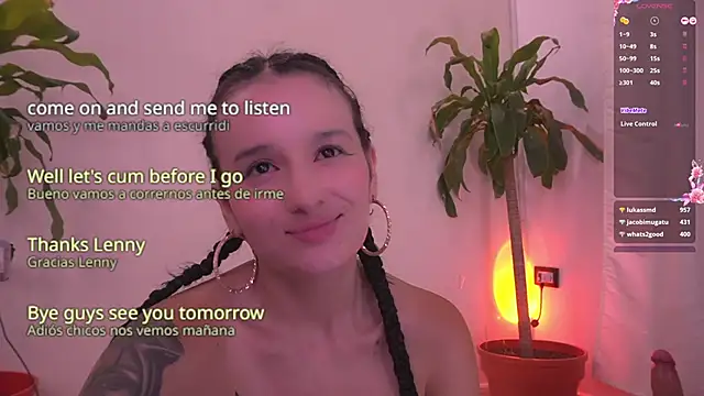 Sisirojas webcam