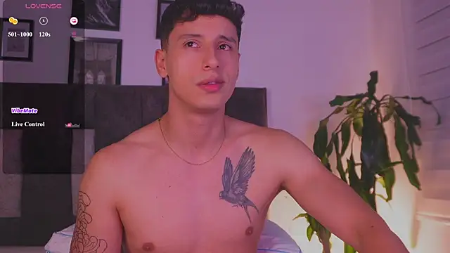 I_Gabriel webcam