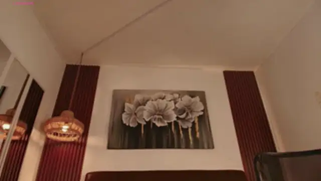 Alice-blaker webcam